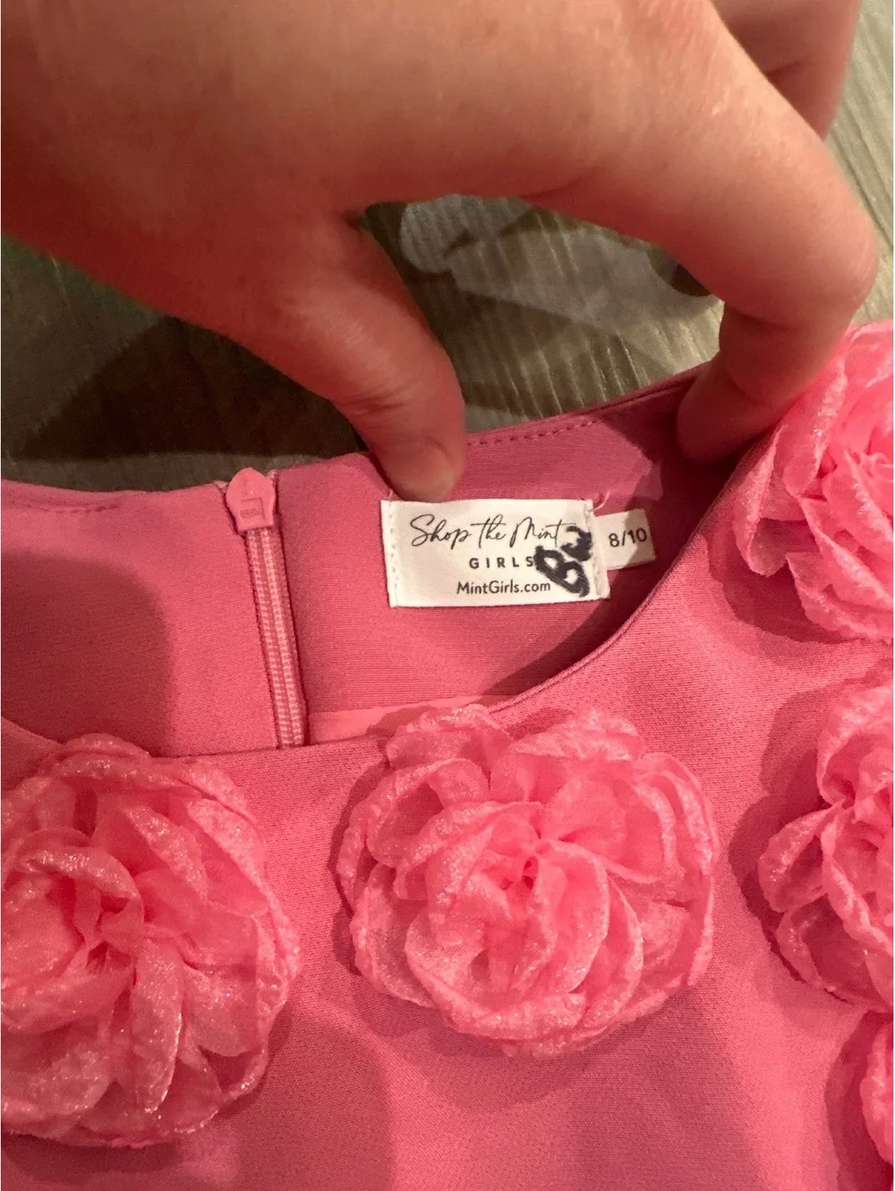 Shop The Mint Girls Pleated Formal Pink Rosette Appliqué Dress